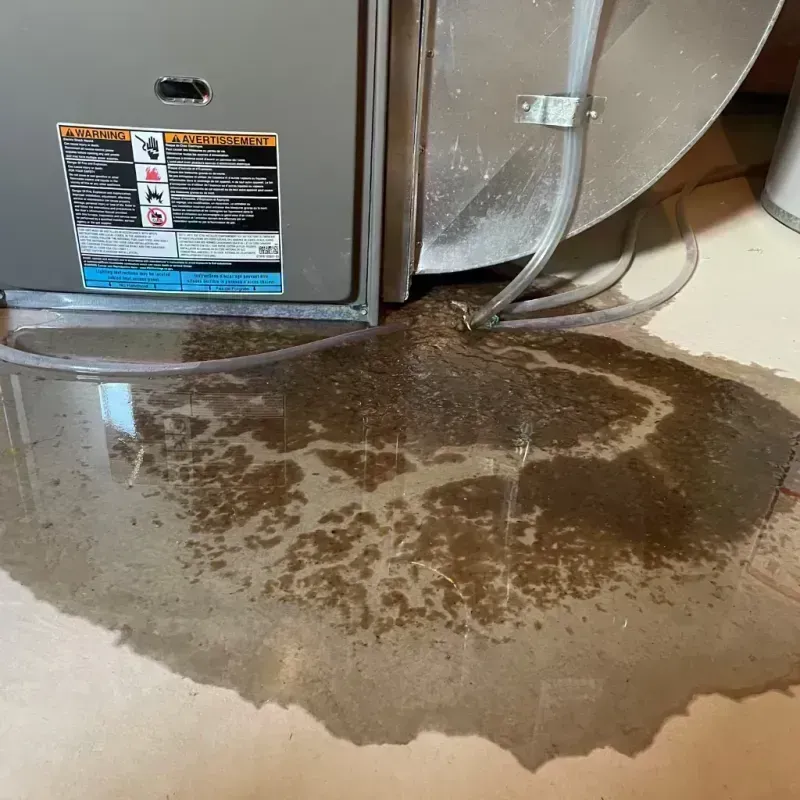 Appliance Leak Cleanup in Pueblo County, CO